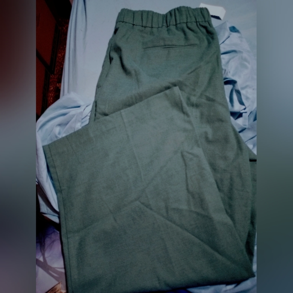 Ann Taylor Casual Wide Leg Pants NWT